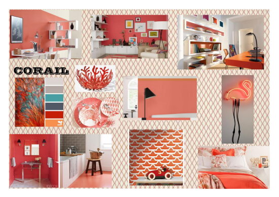 planche tendance-1.jpg