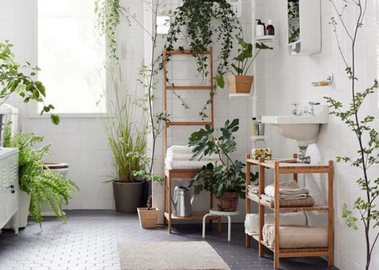 rénovation salle de bain.jpg